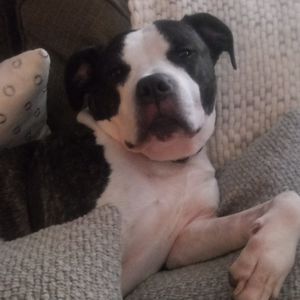 Meet your Posher, Tamika